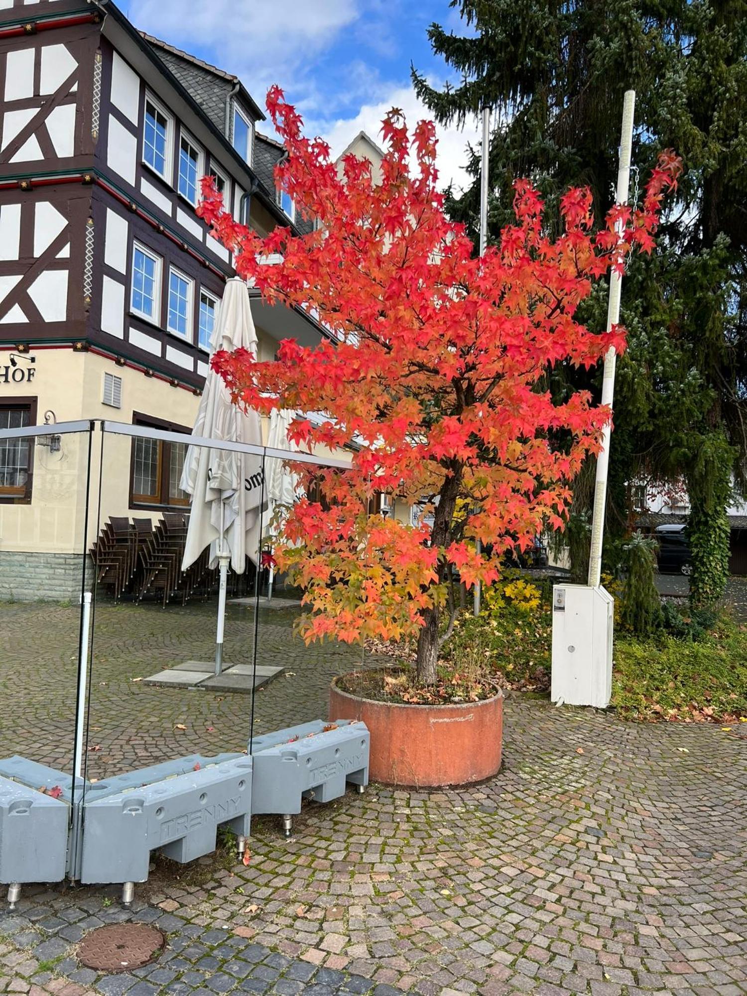Hotel Wittgensteiner Hof Bad Laasphe Extérieur photo